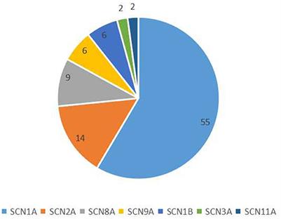 Clinical characteristics and genetic analysis of pediatric patients with sodium channel gene mutation-related childhood epilepsy: a review of 94 patients